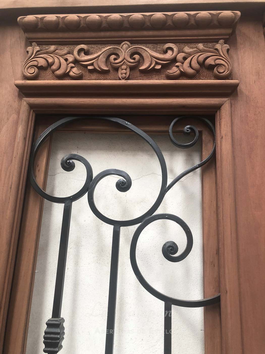 Puerta doble con reja