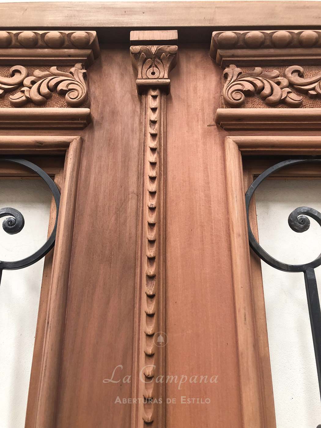 Puerta doble con reja